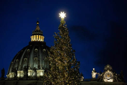 Feierliche Einweihung von Christbaum und Krippe am 5. Dezember 2019  / Daniel Ibanez / CNA Deutsch