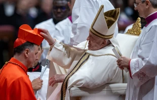 Kardinal Rolandas Makrickas mit Papst Franziskus / Daniel Ibáñez / EWTN News