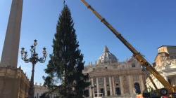 Errichtung der Fichte auf dem Petersplatz / CNA/Alan Holdren