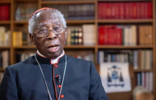 Kardinal Francis Arinze / Daniel Ibáñez / EWTN News