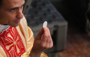 Der wahre Leib Christi: Ein Priester spendet die Kommunion im Petersdom am Fest der Heiligen Familie, 27. Dezember 2015. / CNA/Alexey Gotovskiy