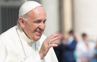 Papst Franziskus bei der Generalaudienz auf dem Petersplatz am 14. Juni 2017.  / CNA / Daniel Ibanez