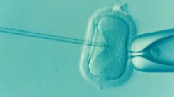 In-Vitro-Fertilisation (Symbolbild) / Elena Έλενα Kontogianni Κοντογιάννη / Pixabay