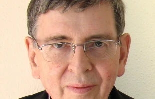 Kardinal Kurt Koch / Paul Badde / EWTN