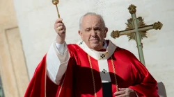 Papst Franziskus / CNA Deutsch / Daniel Ibanez