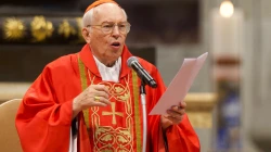 Kardinal Giovanni Battista Re / Daniel Ibáñez / EWTN News